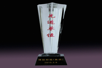 博能控股集团2015年先进单位